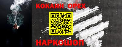 сатива Кандалакша