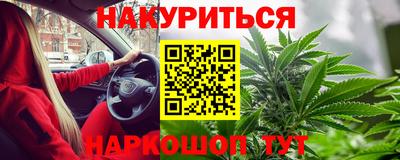 сатива Кандалакша