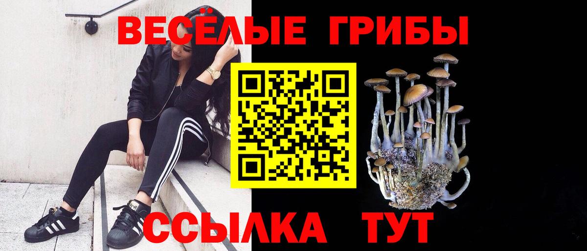 Москва  купить  цена  Вход с VPN  Галлюциногенные грибы GOLDEN TEACHER 